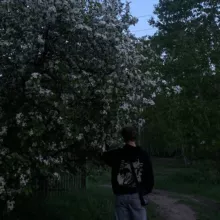 ww липтан.
