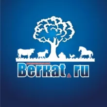 Беркат Сельхоз канал