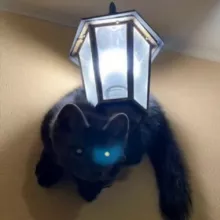 Hourly Martens