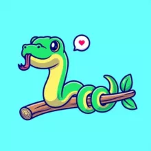 Питонизация. Python библиотеки