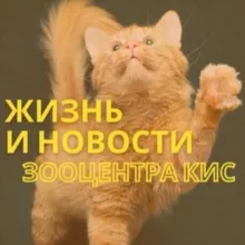 Жизнь Зооцентра КиС🦮🐈