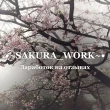 •~SAKURA_WORK~•