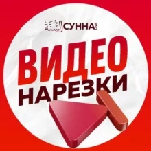 Видео пользы из уроков