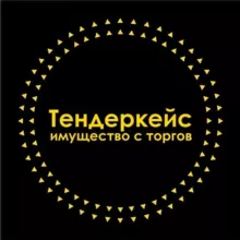 Тендергейм от Тендеркейс: все про имущество с торгов.