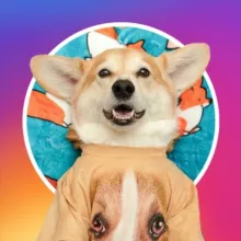 Animalsbyworld