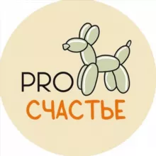Pro Счастье • Аэродизайн • Бизнес на шарах