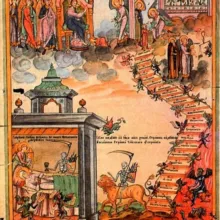 Вірусні митарства