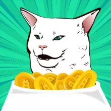 Котэномика