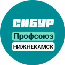 Профсоюз Нижнекамскнефтехим