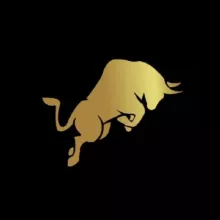 Royal Capital LTD