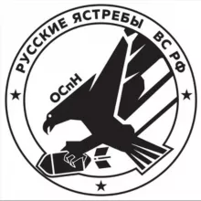 ОСпН РУССКИЕ ЯСТРЕБЫ ВС РФ