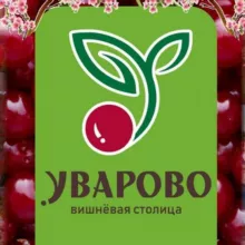 Город Уварово