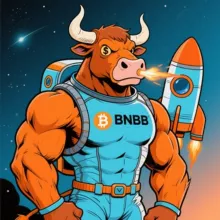 BNBB公告
