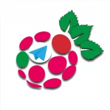 Raspberryitaly 📣🛒