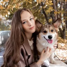 Галчонок пишет