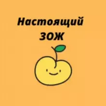 НАСТОЯЩИЙ ЗОЖ / АБРИКОСОВАЯ ФЕЯ