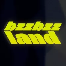 BZZ BZZ LAND | Borussia Dortmund