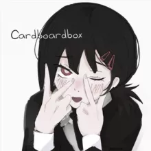 Cardboard box✨