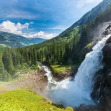 🌱 Истоки жизни 🌱