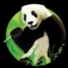 PANDA.USSUR Блюхера 51 тел 89147110530