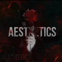 A ｅｓｔｈｅｔｉｃ S
