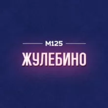 Жулебино/ЮВАО М125