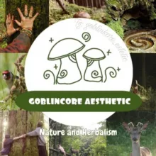 🌿 Goblincore 🍄‍🟫| Гоблинкор