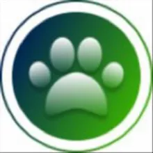 Всё про игры с собакой 🥎🐕