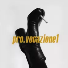 Pro.vocazione1