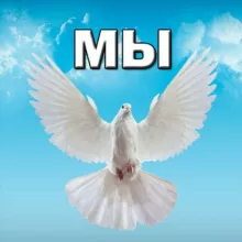 Действовать будем МЫ