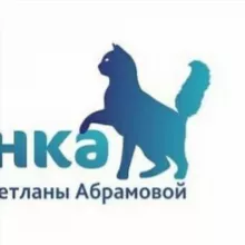 Частный приют Бусинка город Барнаул