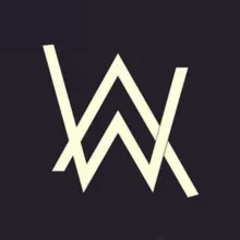 Alan Walker music ✔