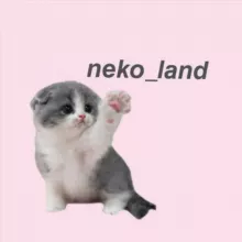 🐾 𝙣𝙚𝙠𝙤_𝙡𝙖𝙣𝙙 🐾