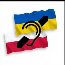 Инфо-ЖЯ-Польша