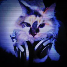 speed up/nightcore