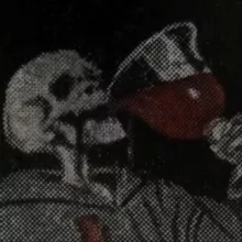 птица летит к горе