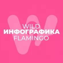 WildFlamingо: инфографика, контент для WB/Ozon