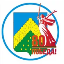 Комсомольский муниципальный округ