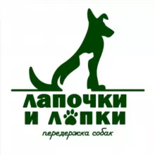Лапочки и лапки