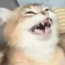 😂ᖇᏆᔑᗩᔑ Ꮮᝪᑕᗩᔑ🤪