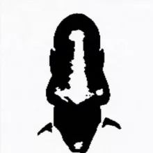 Supostus
