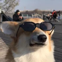 Корги Рик