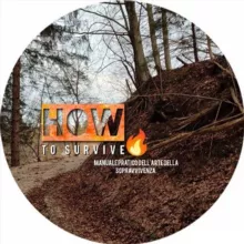 HowToSurvive