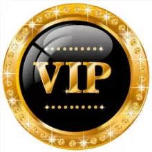 vipstok