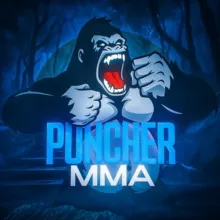 PUNCHER | MMA & Kickboxing & Muay-Thai
