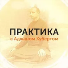 Практика с Аджаном Хубертом