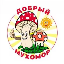 Добрый Мухомор | Здоровье