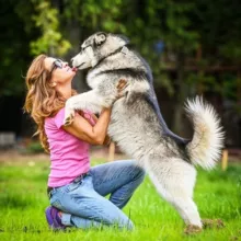 help_big_dog