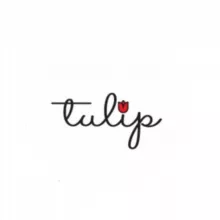 Tulip🌷