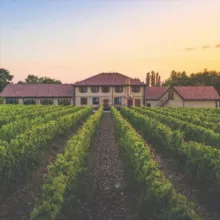 Винотеррия/Nesterov winery